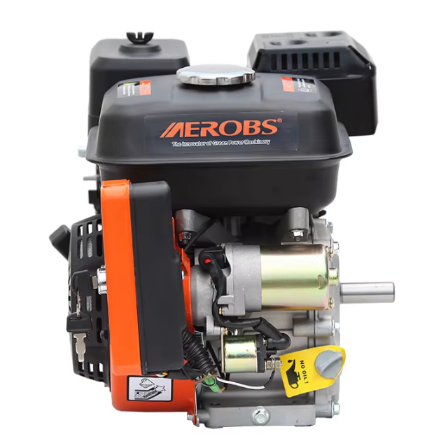 Hot Selling 6.5HP Recoil/Electric Start 4-stroke 196cc Gasoline Engine BS200 for Boat